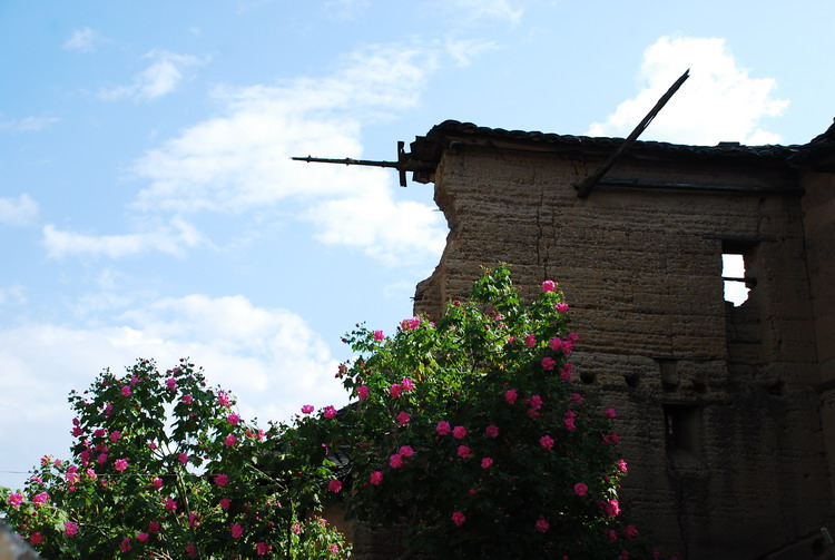 dsc_0452.jpg