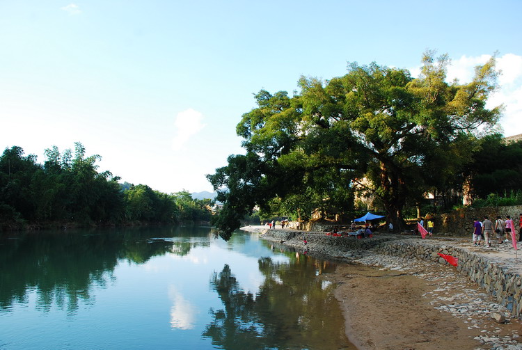 dsc_0480.jpg