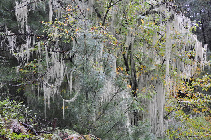 dsc_0483.jpg
