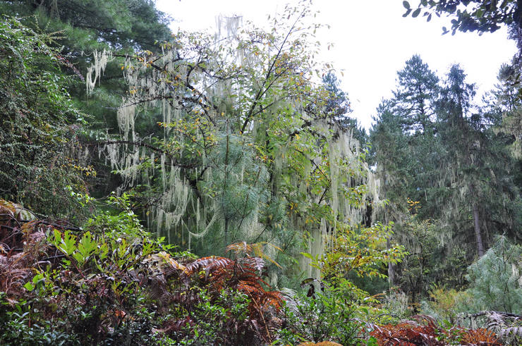 dsc_0499.jpg