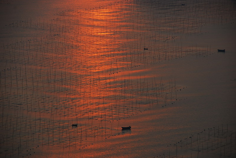 dsc_0106.jpg