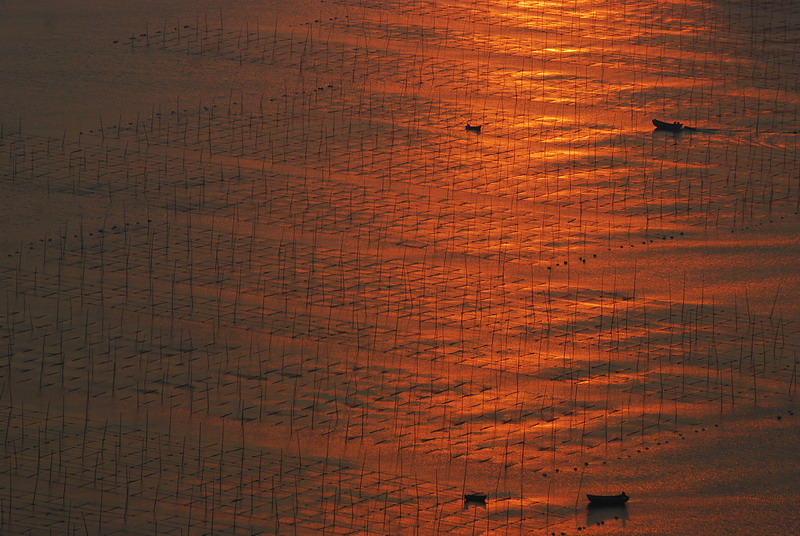 dsc_0118.jpg