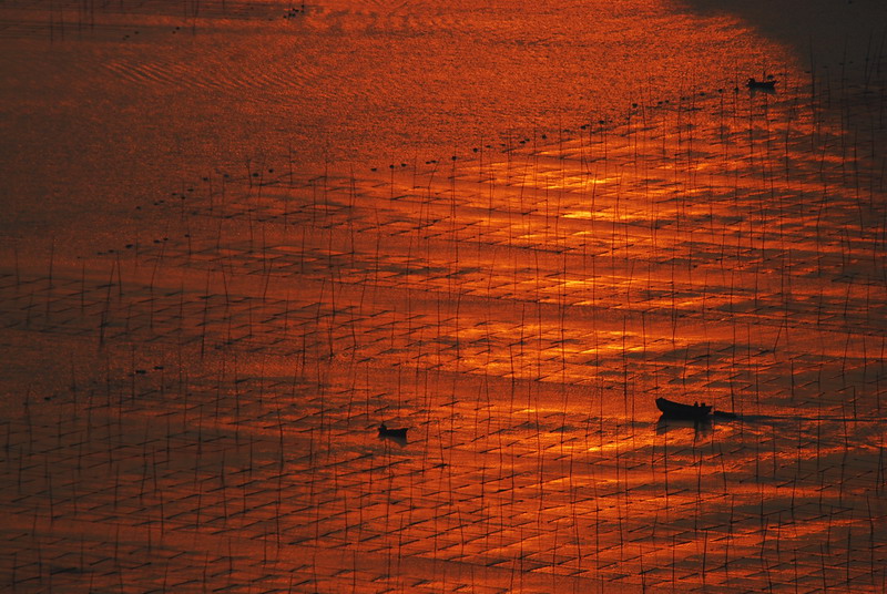 dsc_0119.jpg