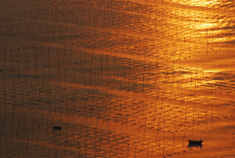 dsc_0148.jpg