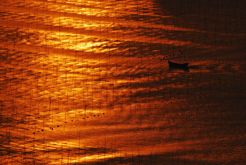 dsc_0150.jpg