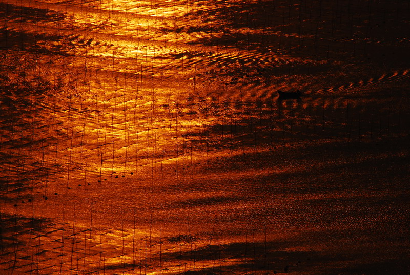 dsc_0166.jpg