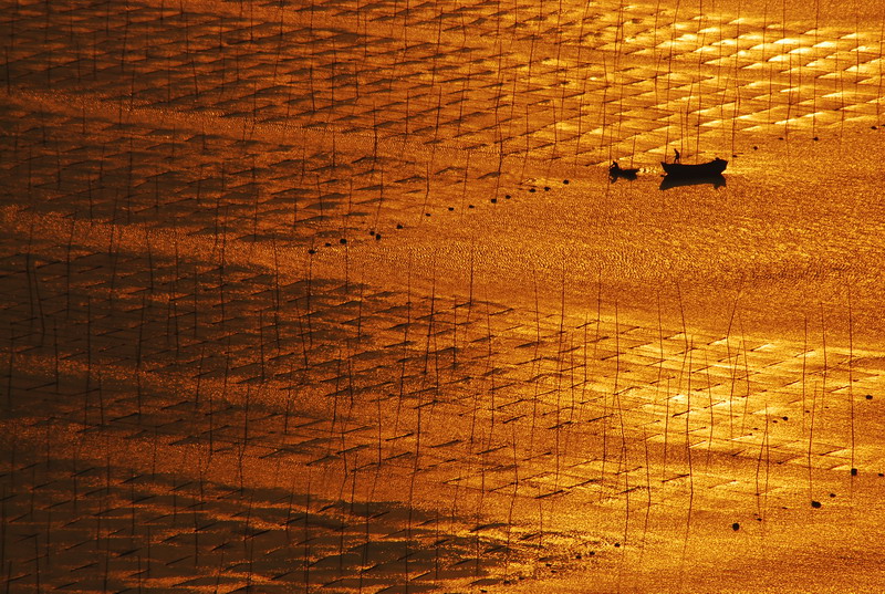 dsc_0184.jpg