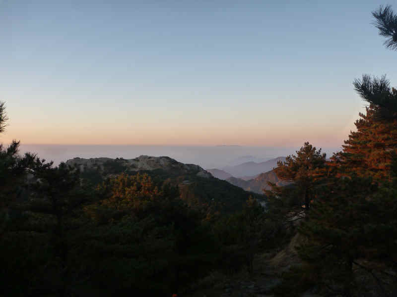 p1030185.jpg