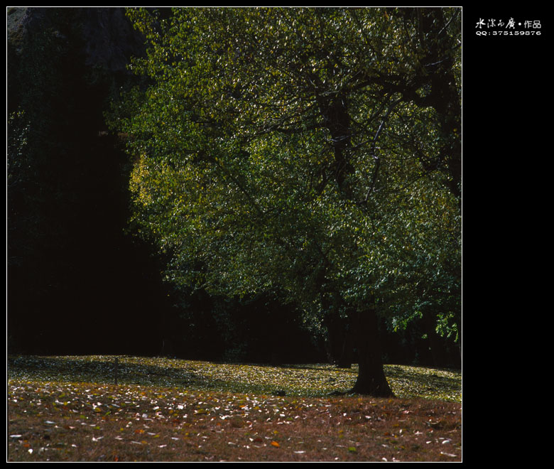 scan-101016-0025.jpg