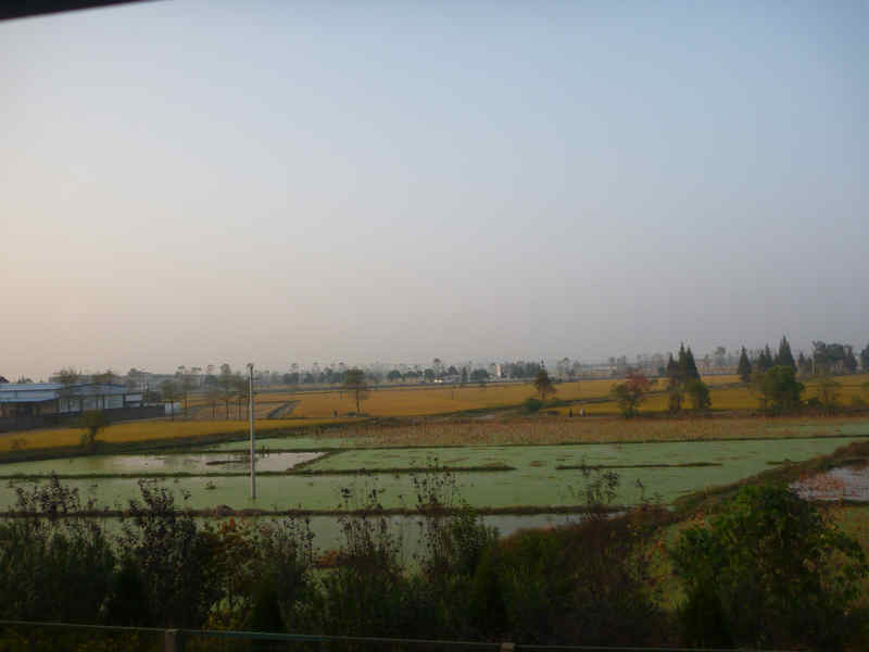 p1020864.jpg