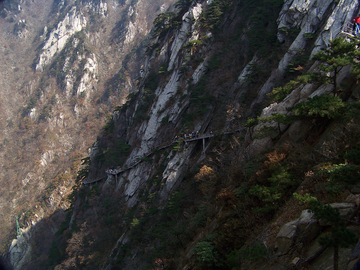 20101107iկ-˷ (17).jpg