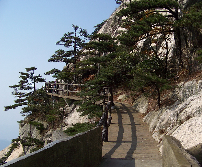 20101107iկ-˷ (20).jpg