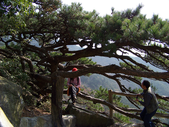 20101107iկ-˷ (12).jpg