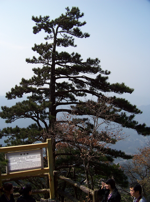 20101107iկ-˷ (11).jpg