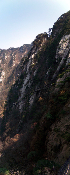 20101107iկ-˷ (14).jpg