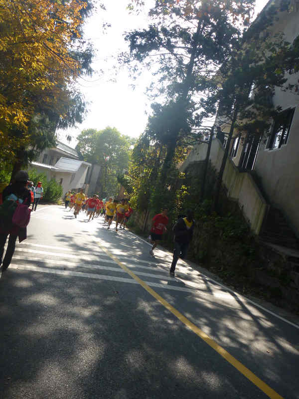p1020988.jpg