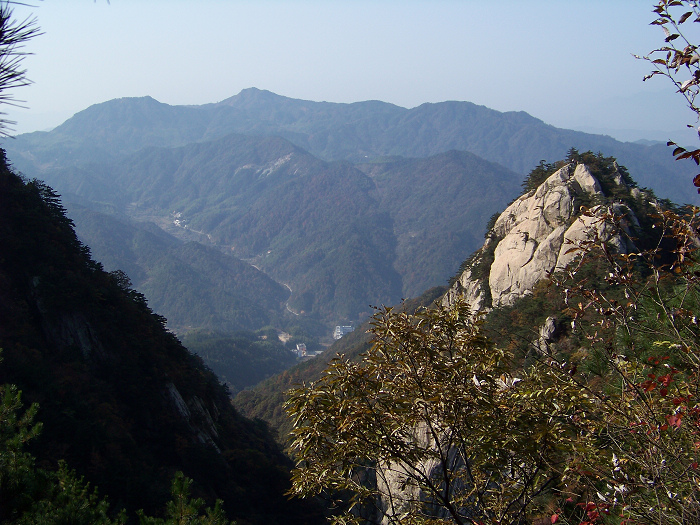 20101107fկ-˷ (11).jpg