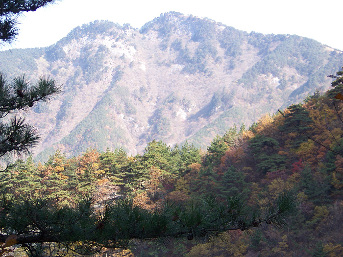20101107fկ-˷ (12).jpg