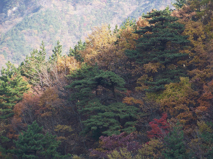20101107fկ-˷ (16)־Ⱦ.jpg