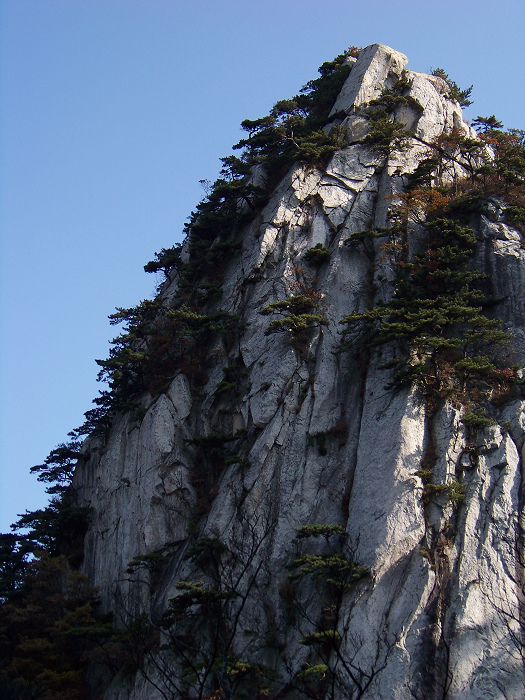 20101107fկ-˷ (22).jpg