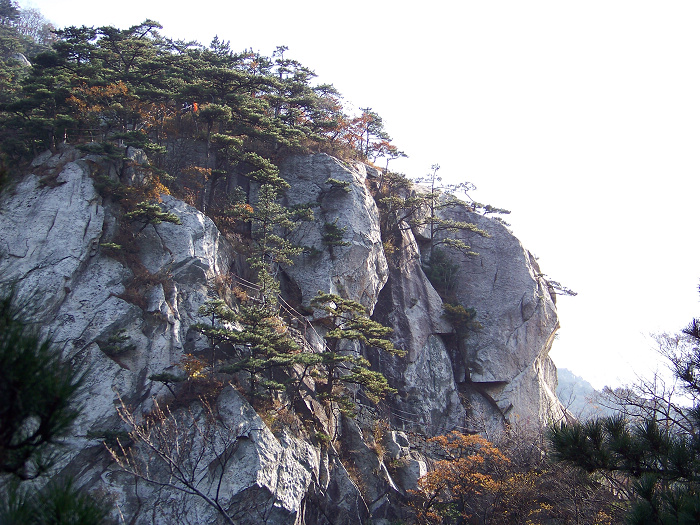 20101107fկ-˷ (24).jpg
