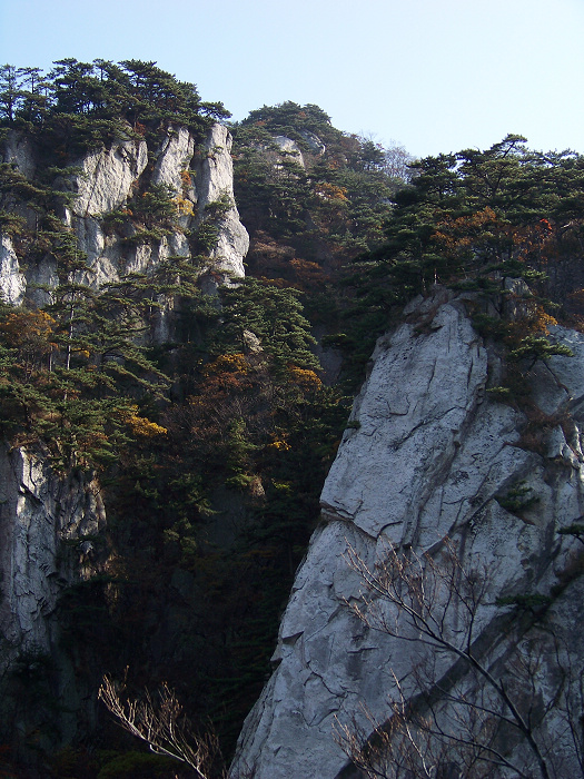 20101107fկ-˷ (25).jpg