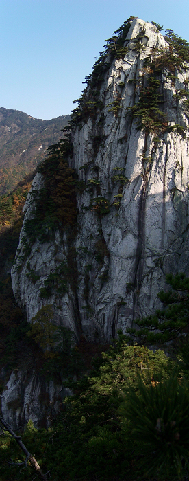 20101107fկ-˷ (29).jpg
