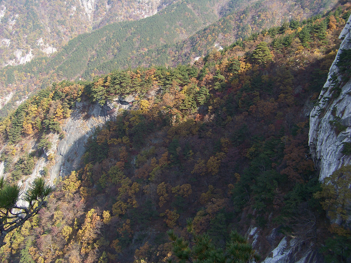 20101107fկ-˷ (32).jpg