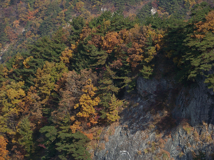 20101107fկ-˷ (34).jpg
