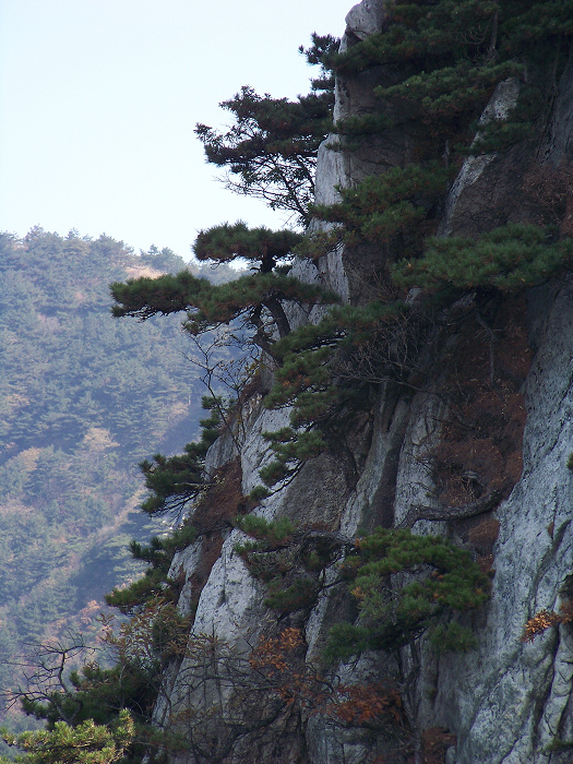 20101107fկ-˷ (40).jpg