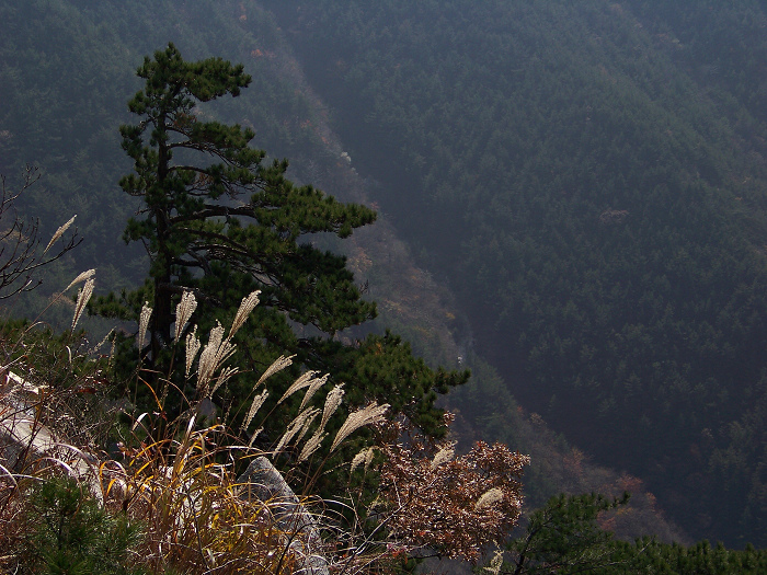 20101107gկ-˷ż (21).jpg