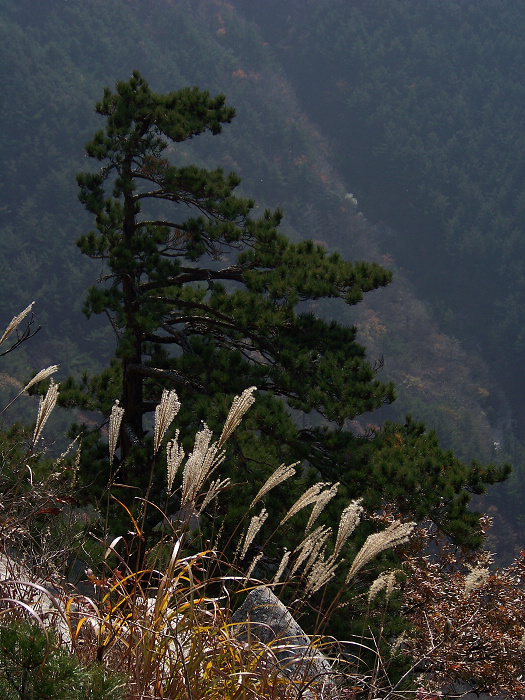 20101107gկ-˷ż (22).jpg