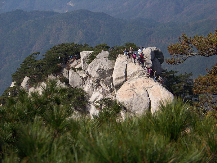 20101107gկ-˷ż (23).jpg