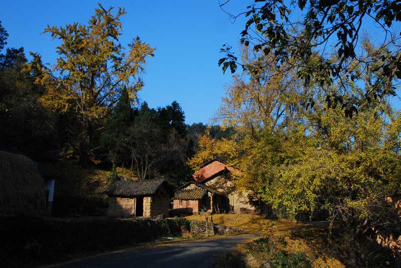 dsc_0316.jpg