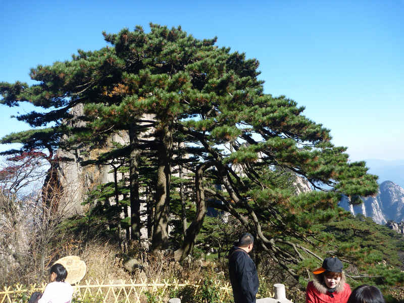 p1030398.jpg