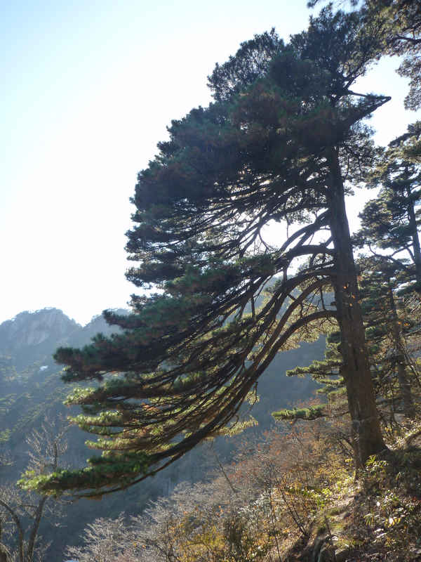 p1030410.jpg