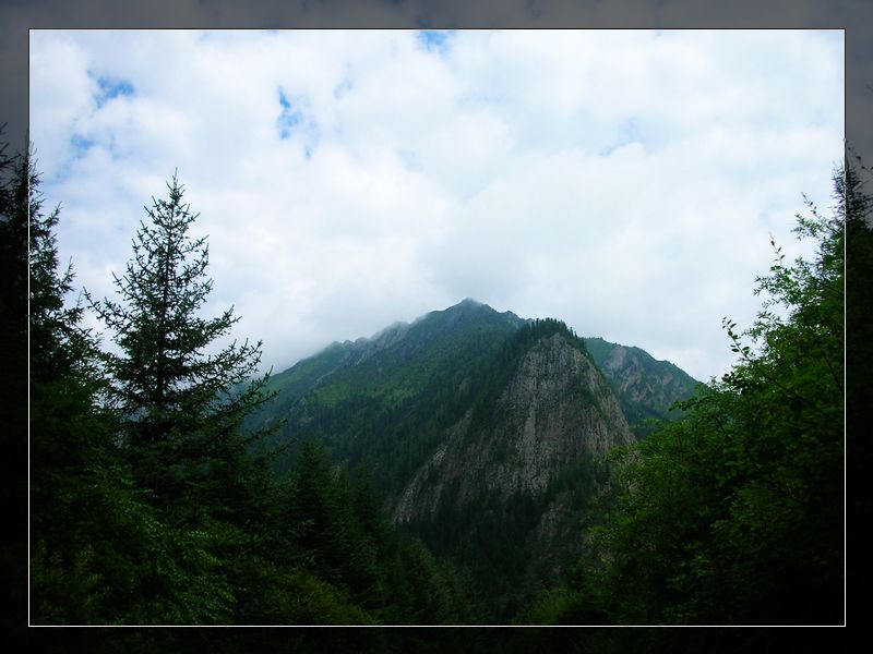 dscn1539.jpg