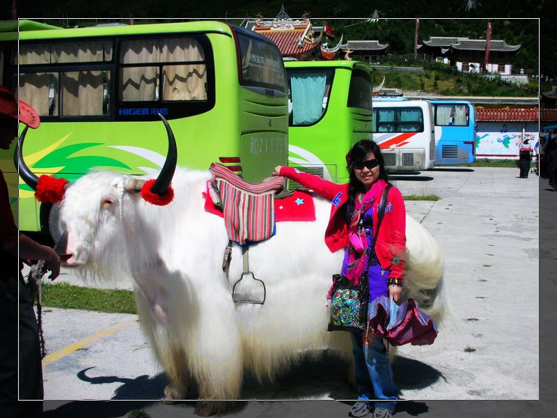 dscn1608.jpg
