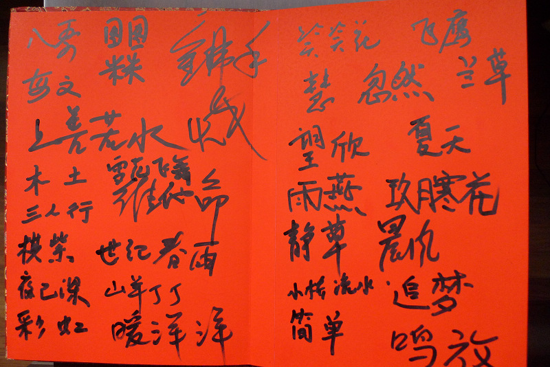 yp1070555.jpg