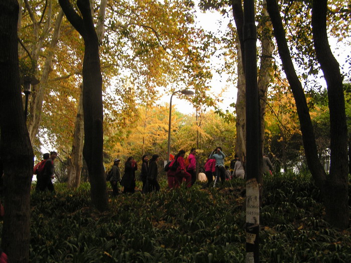 pict0043_С.jpg