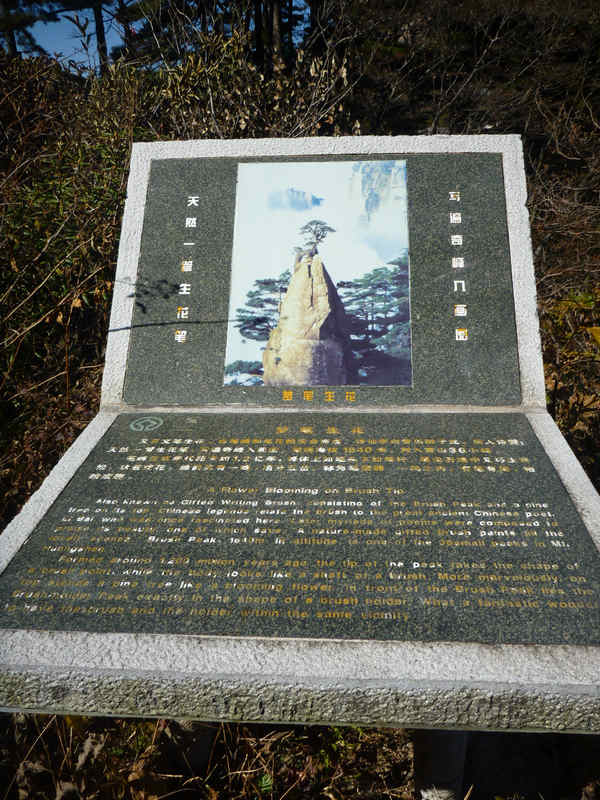 p1030360.jpg