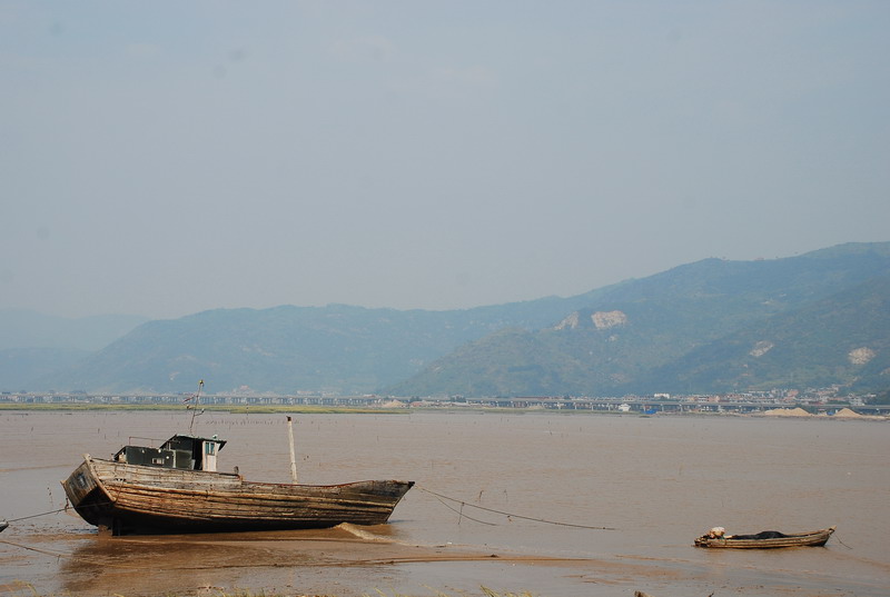 dsc_0223.jpg
