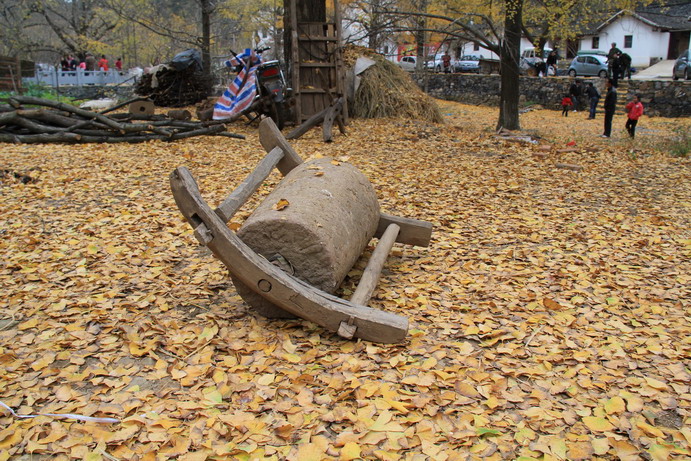 img_0408_Ǯ_СС.jpg