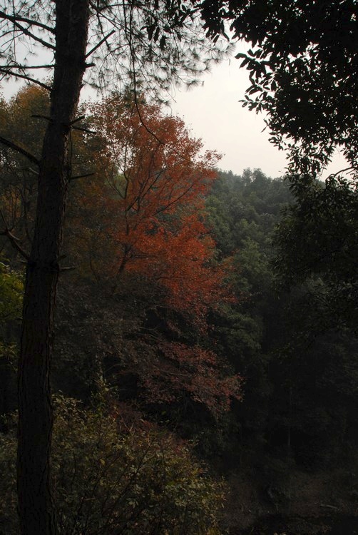 dsc_0226.jpg