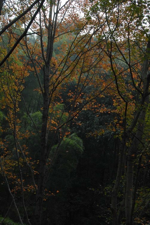 dsc_0228.jpg