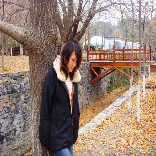 dsc03106.jpg