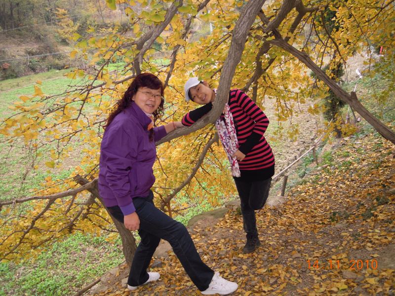 Ƭ 037.jpg