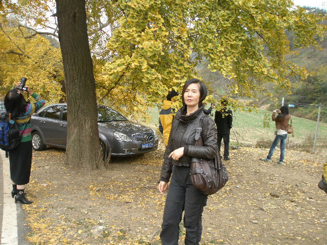 pb140113.jpg