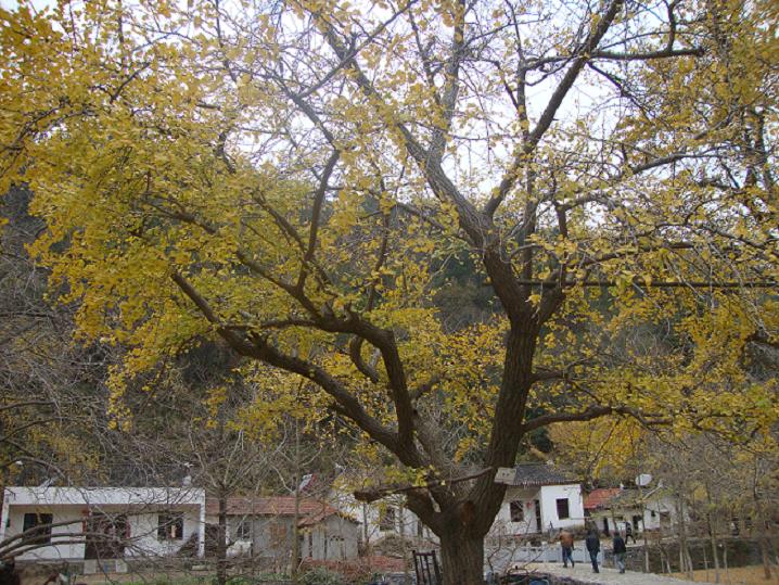 dsc01760.jpg