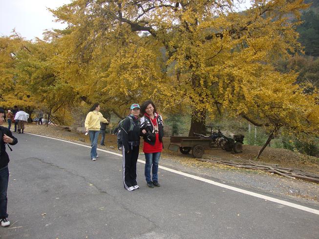 dsc01708.jpg